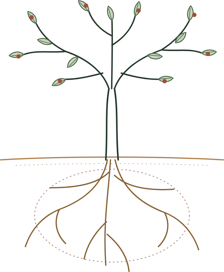 Line drawing of a tree: the symptoms are its branches, while the roots lie below the surface